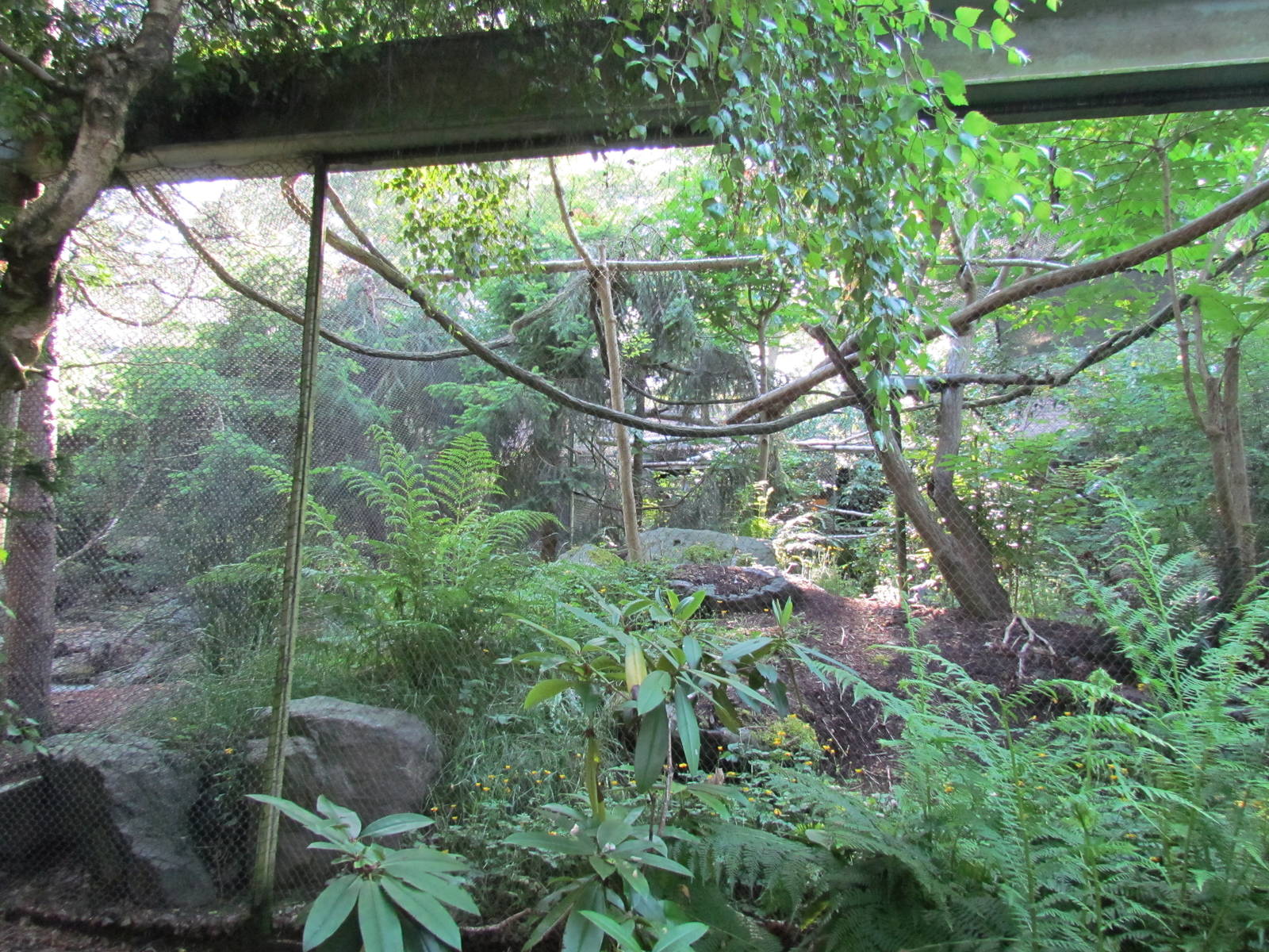 Temperate Forest - Conservation Aviaries