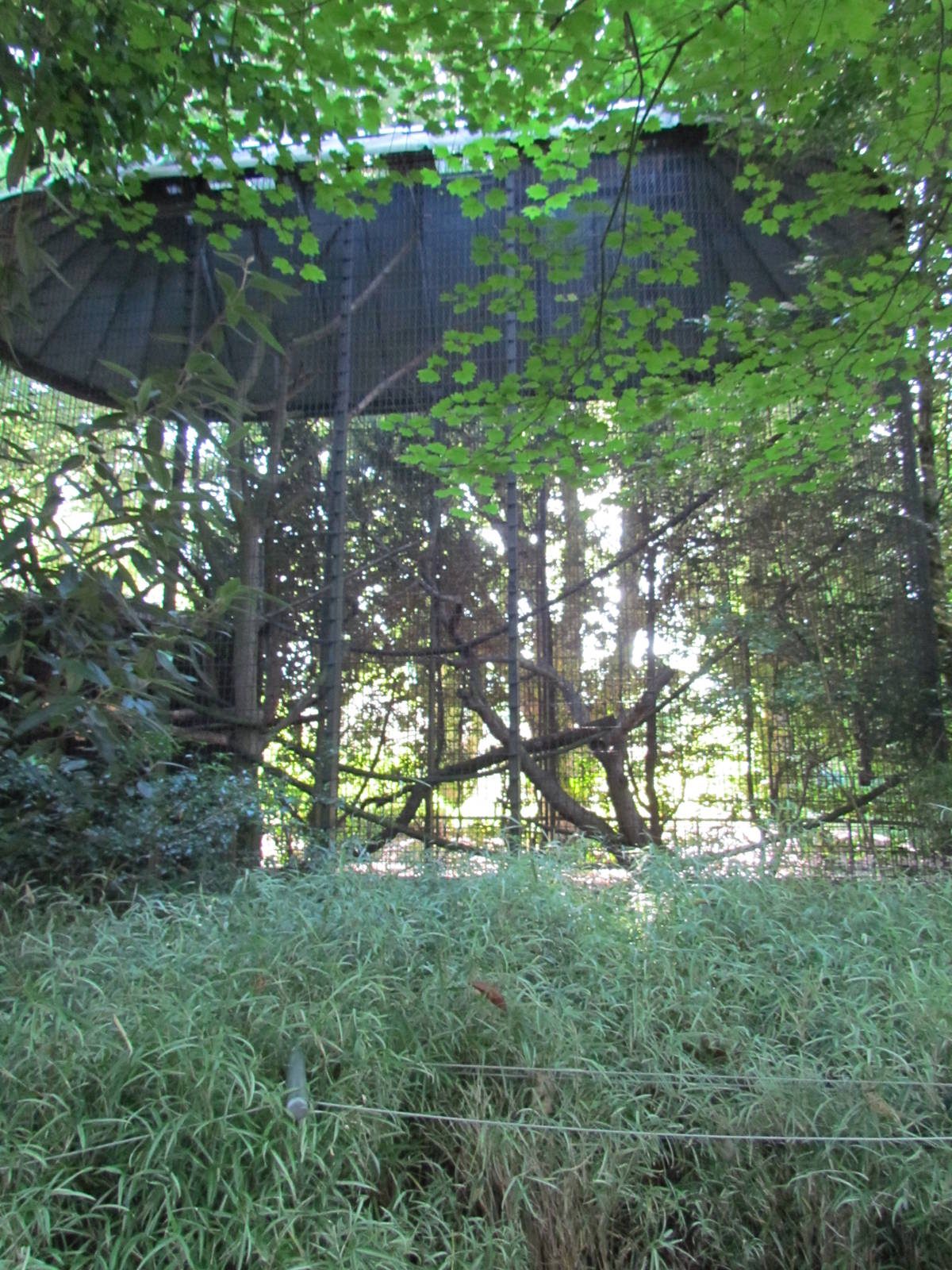 Temperate Forest - Conservation Aviaries