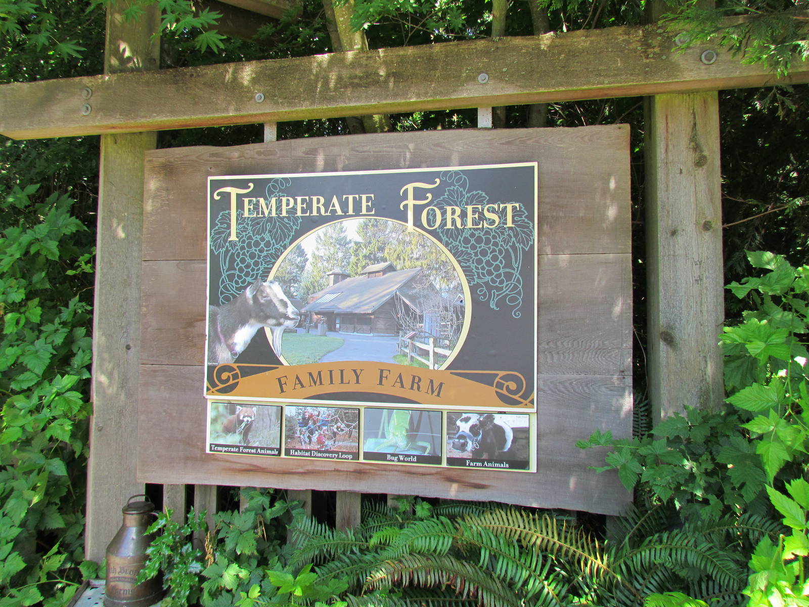 Temperate Forest - Entrance