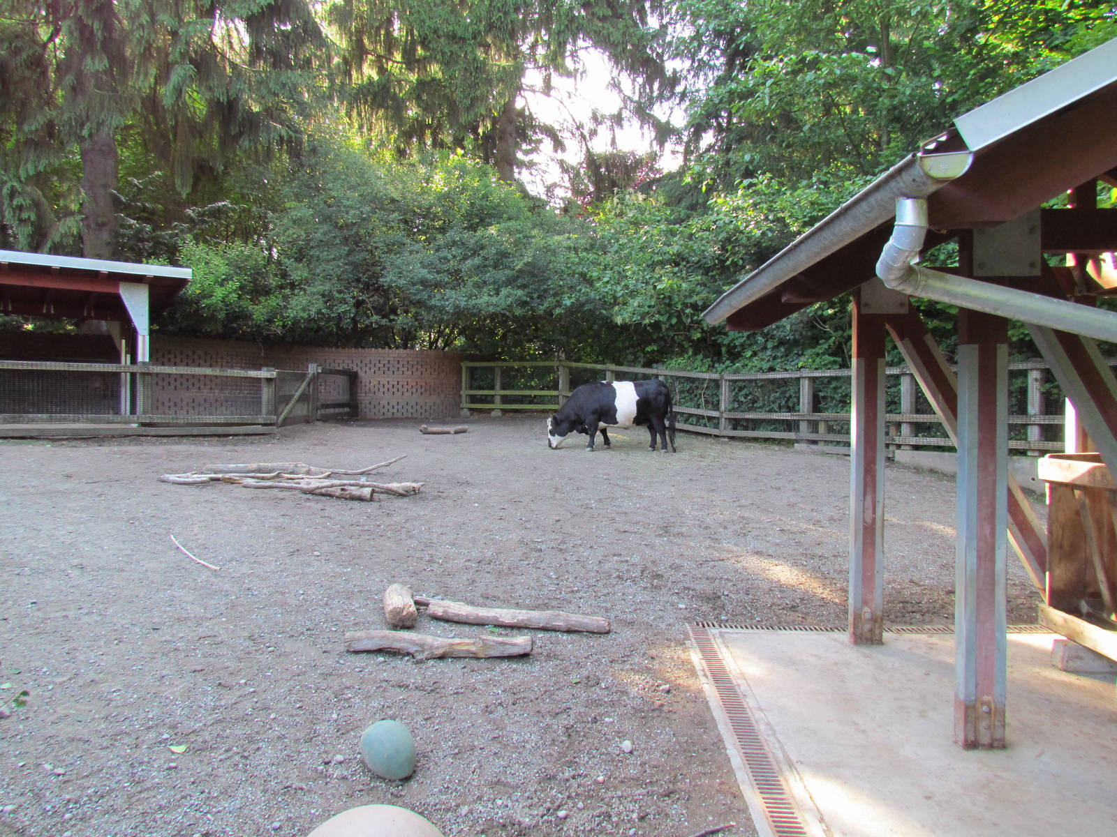 Temperate Forest - Family Farm