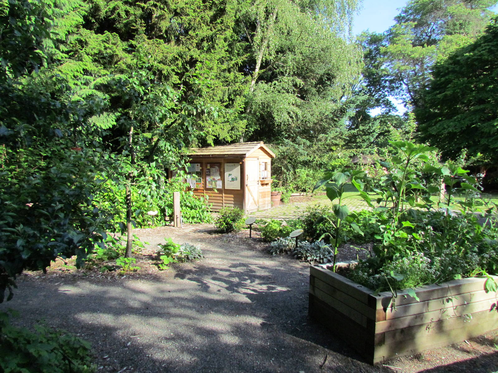 Temperate Forest - Family Farm