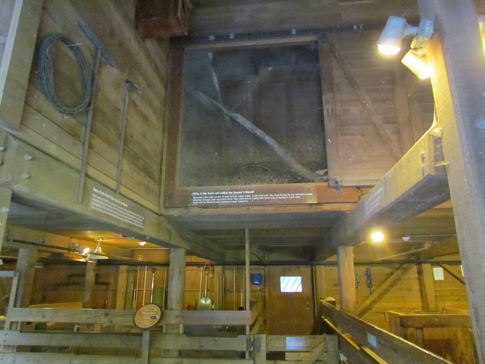 Temperate Forest - Family Farm