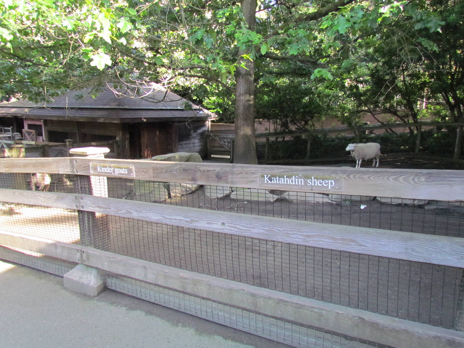 Temperate Forest - Family Farm