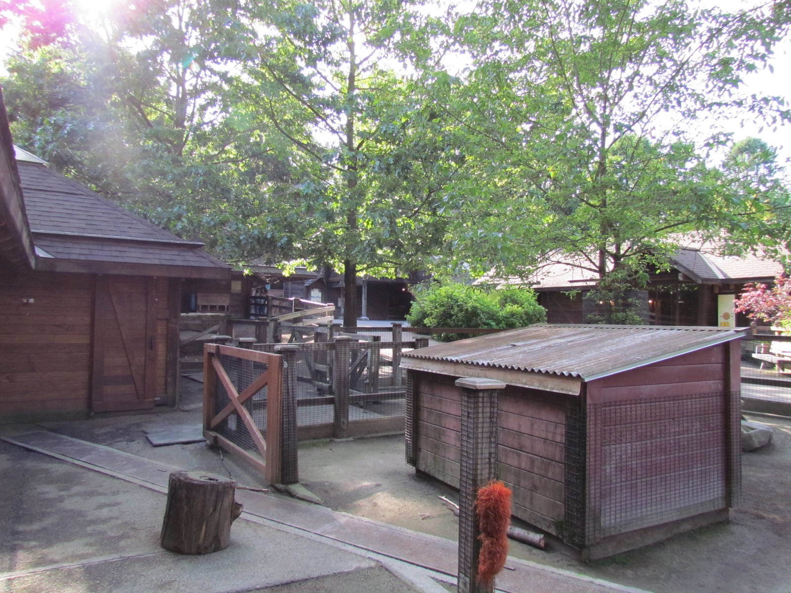 Temperate Forest - Family Farm