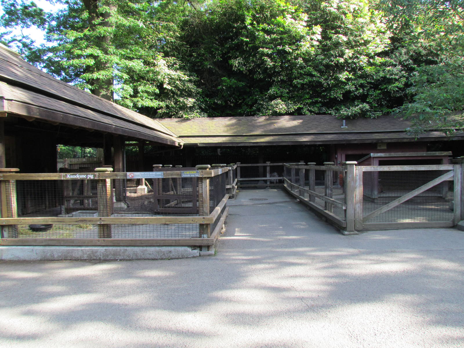 Temperate Forest - Family Farm