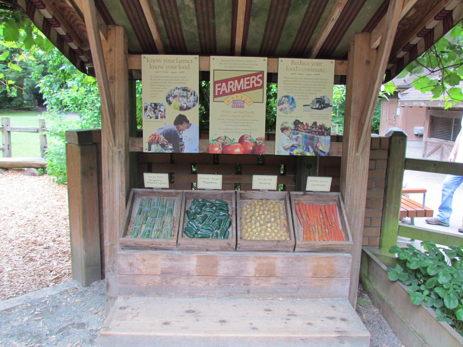 Temperate Forest - Family Farm