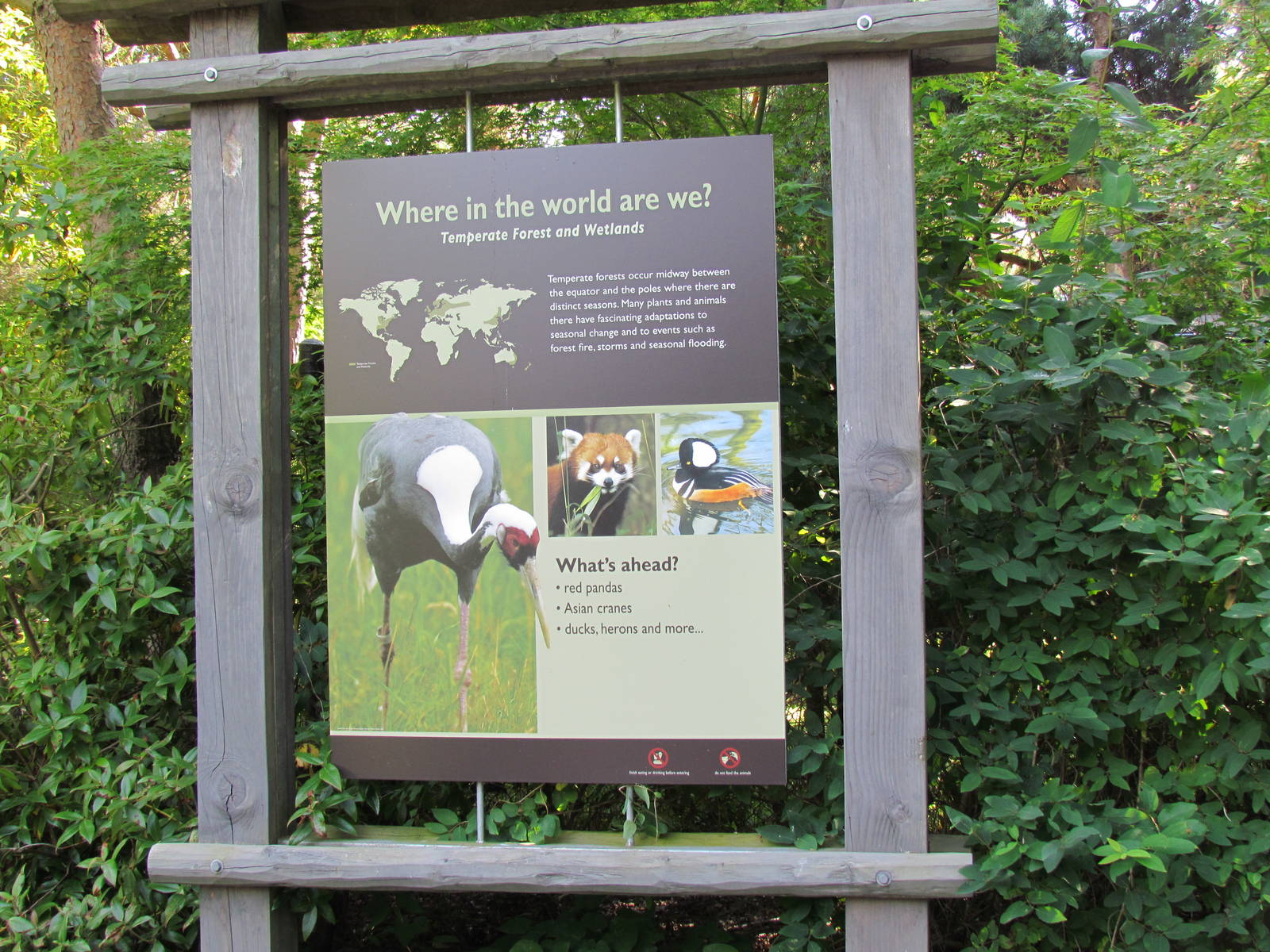 Temperate Forest - Signage