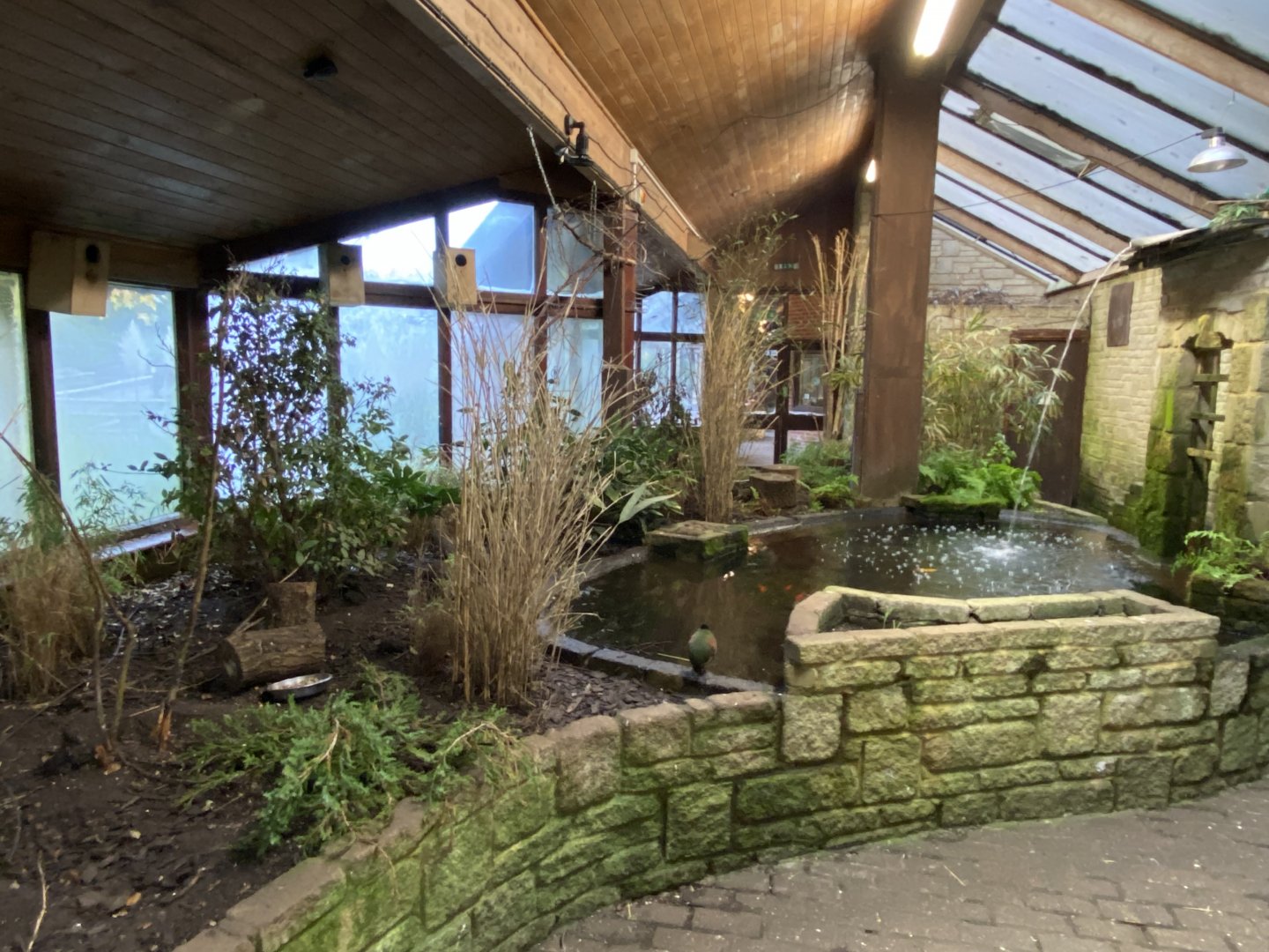 Temperate House 061121