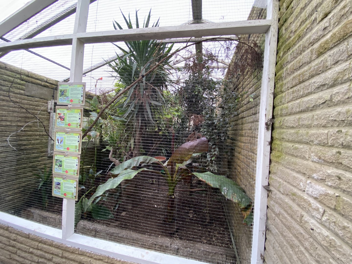 Temperate House 061121