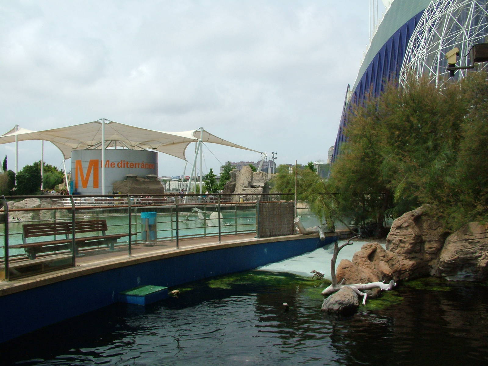 Temperate Penguin Exhibit at Oceanografic, 29/05/11