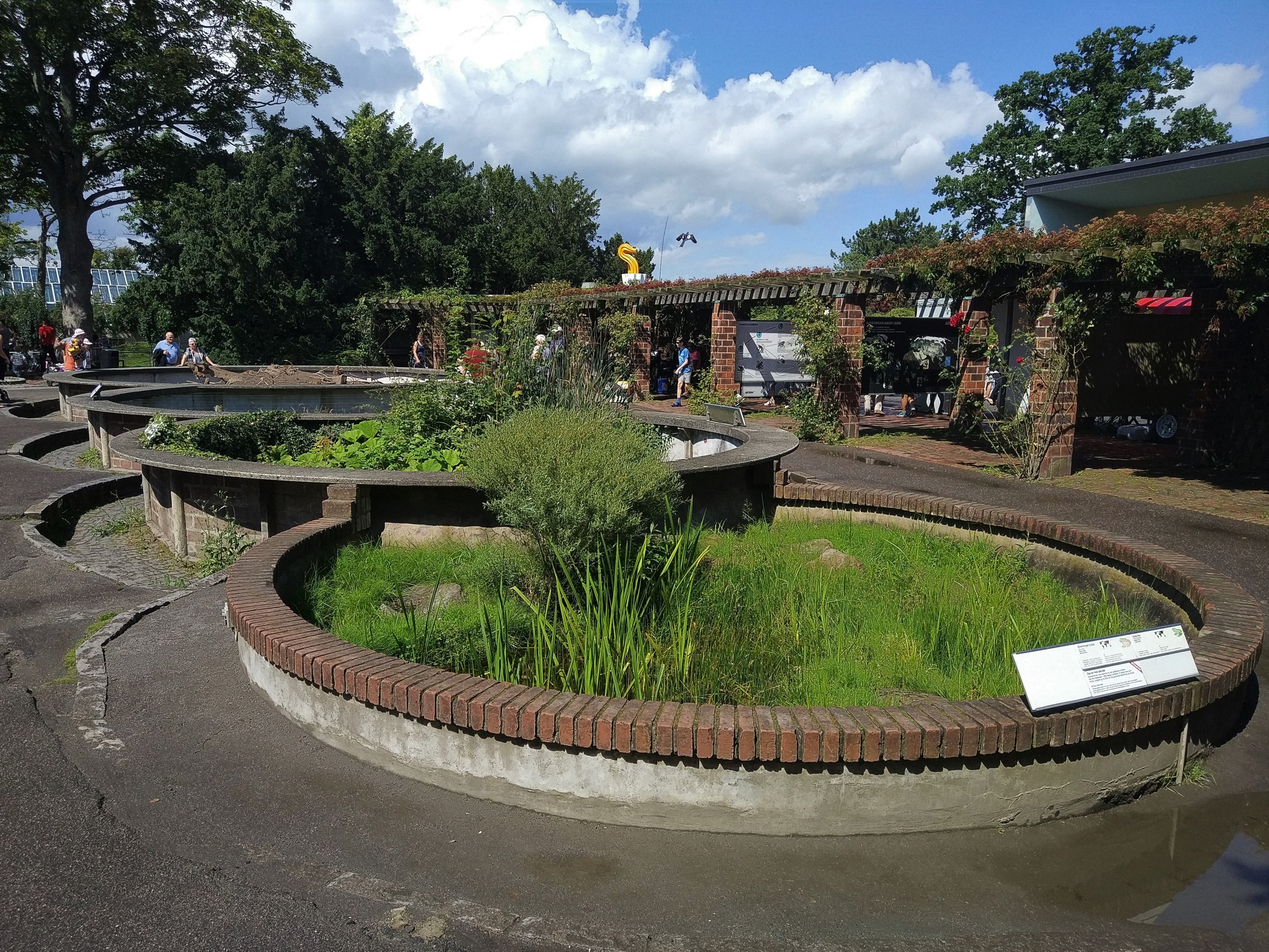 Temperate Reptile Terraria