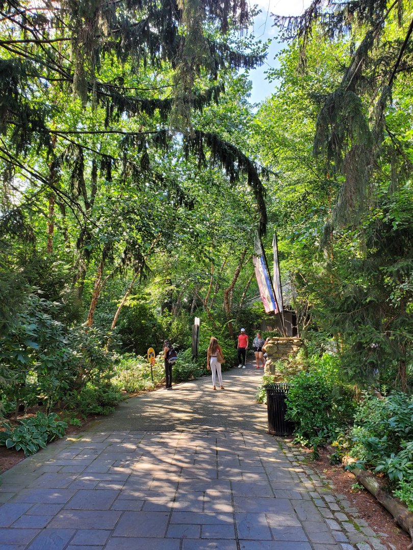 Temperate Territory - August 2021