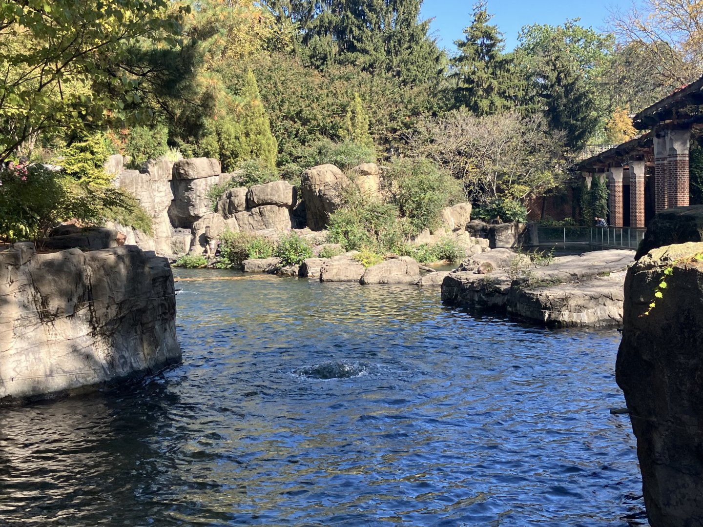 Temperate Territory - Japanese Macaque Exhibit