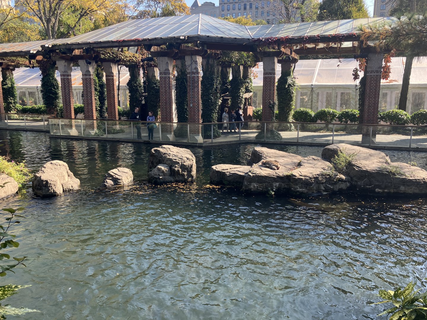 Temperate Territory - Japanese Macaque Exhibit