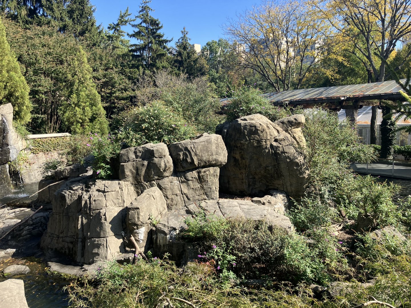 Temperate Territory - Japanese Macaque Exhibit