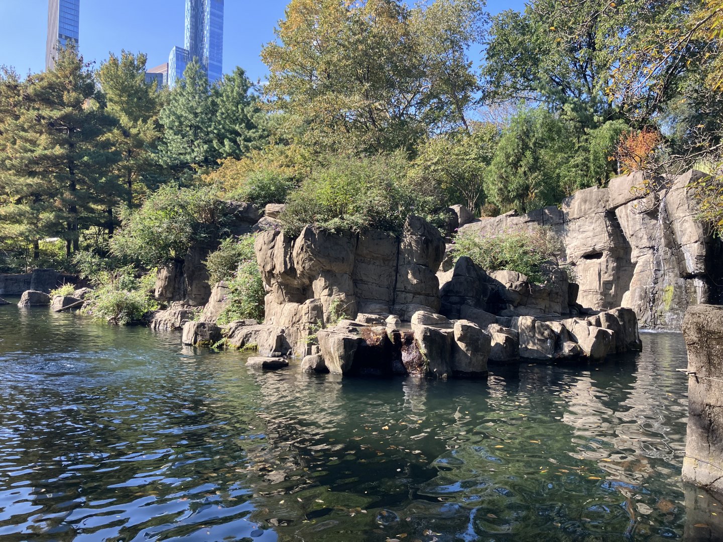 Temperate Territory - Japanese Macaque Exhibit