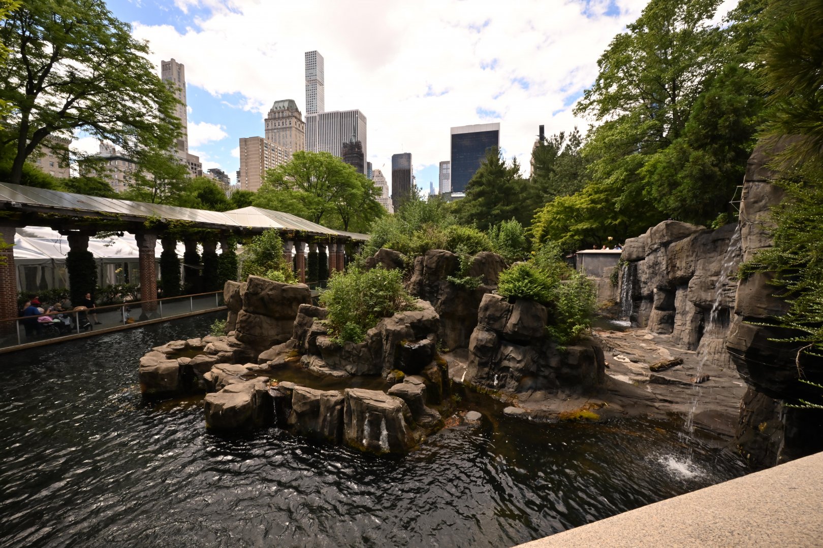 Temperate Territory - Japanese Macaque (Macaca fuscata) Exhibit