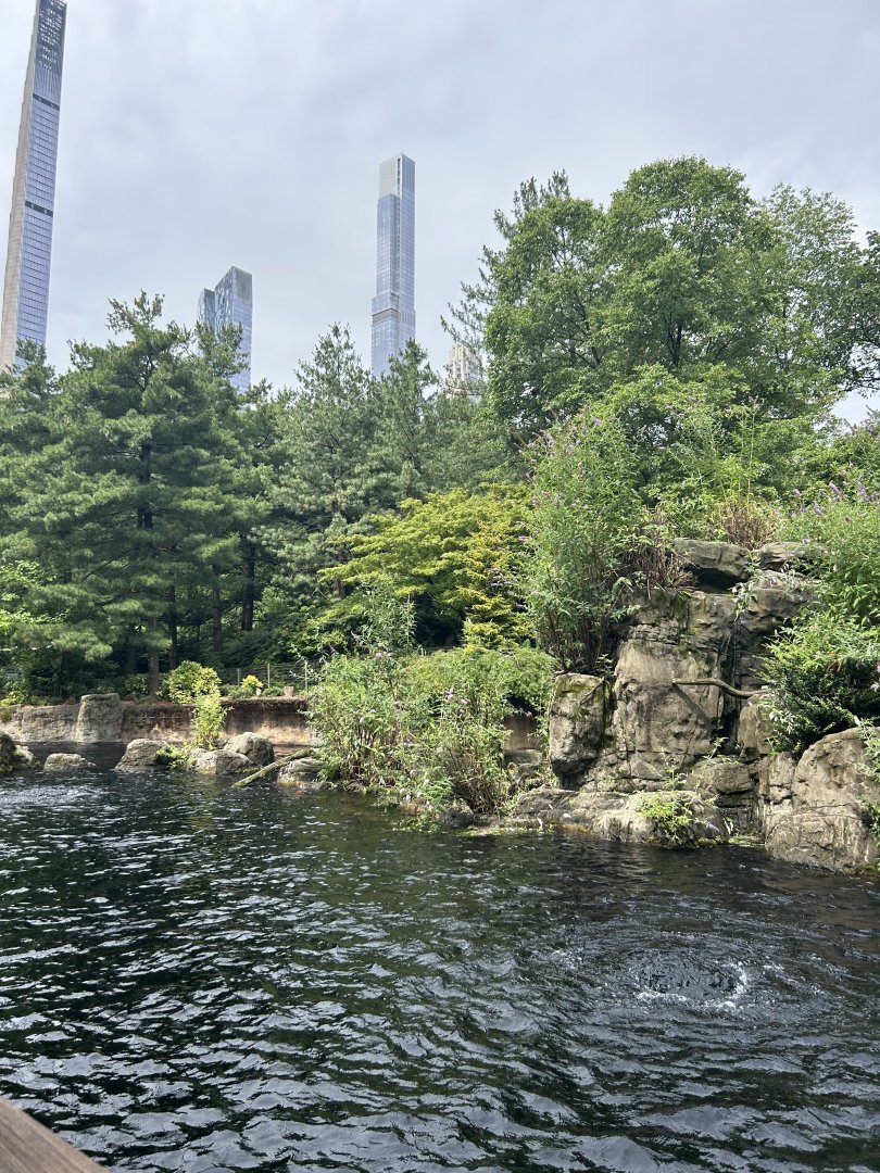 Temperate Territory: Japanese Macaque (Snow Monkey) Exhibit Lower Viewing