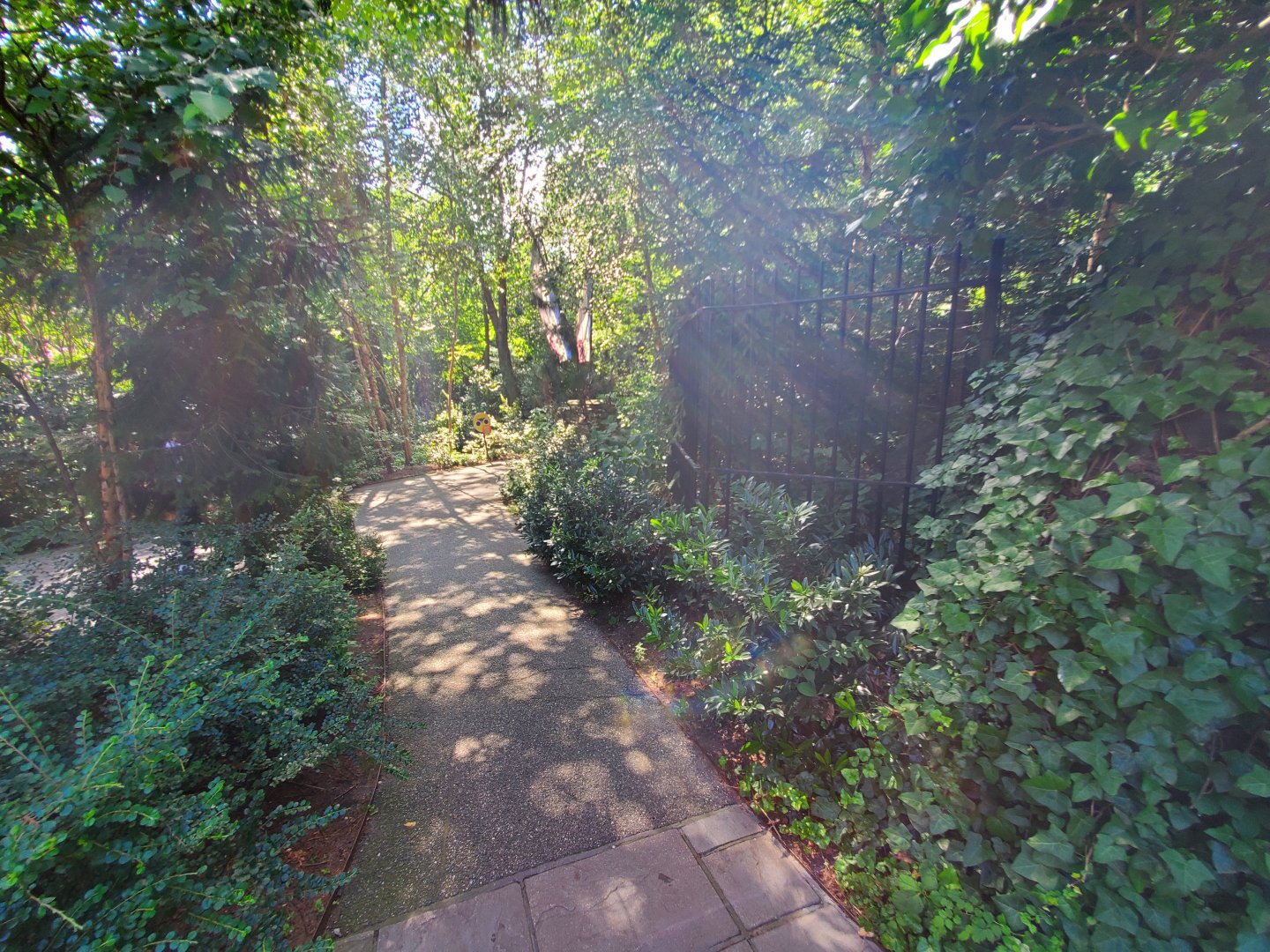 Temperate Territory Path - August 2021