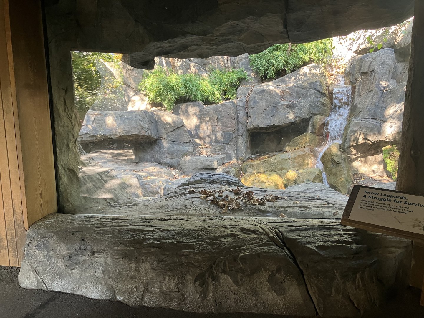 Temperate Territory - Snow Leopard Exhibit