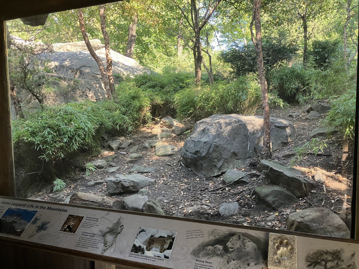 Temperate Territory - Snow Leopard Exhibit