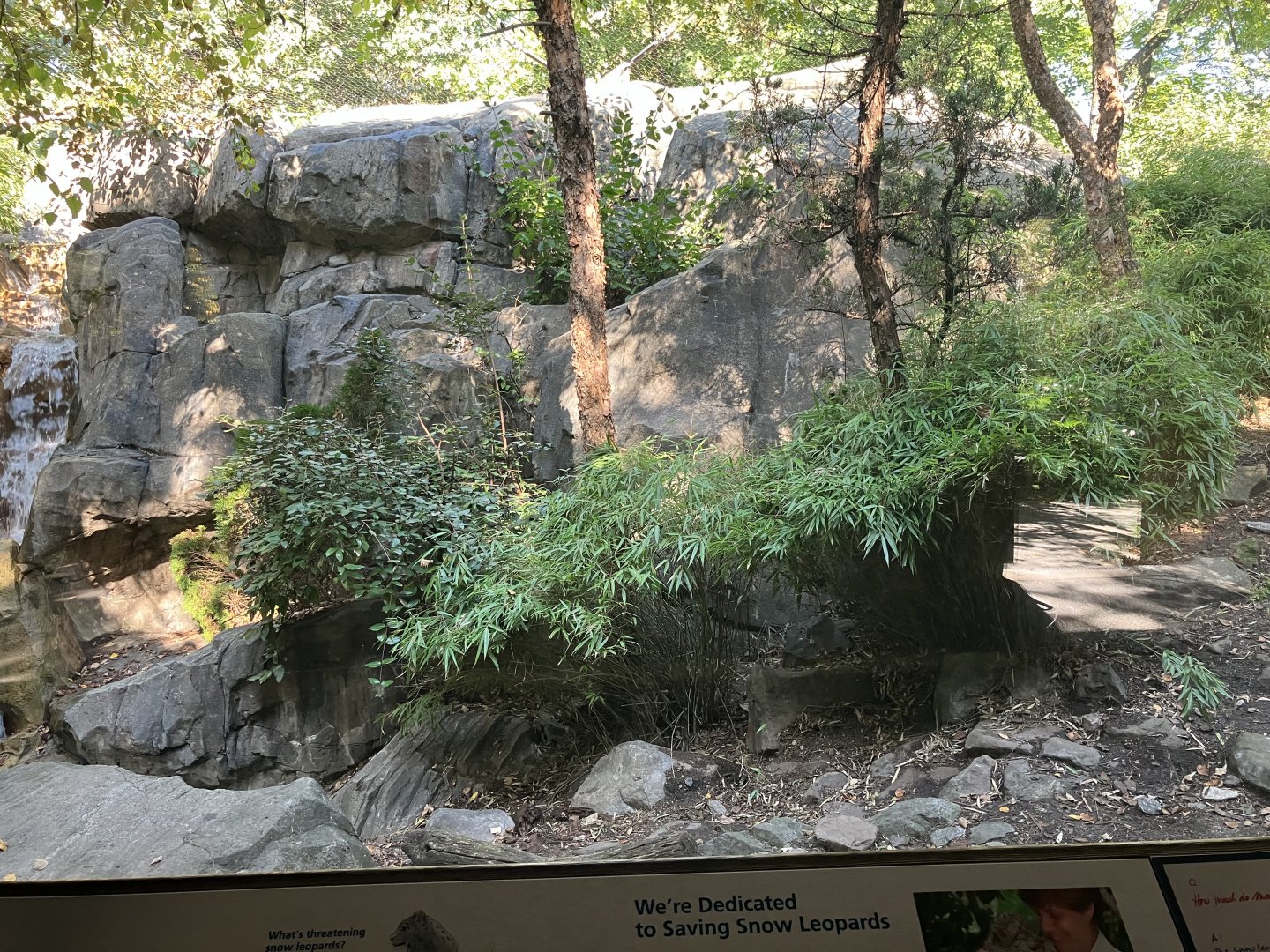 Temperate Territory - Snow Leopard Exhibit