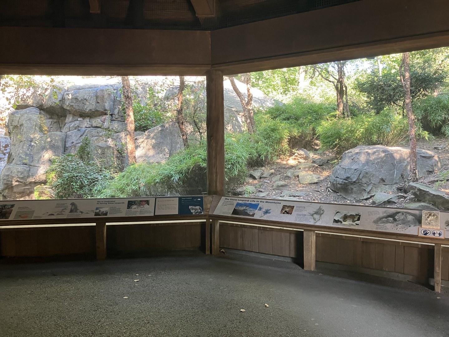 Temperate Territory - Snow Leopard Exhibit