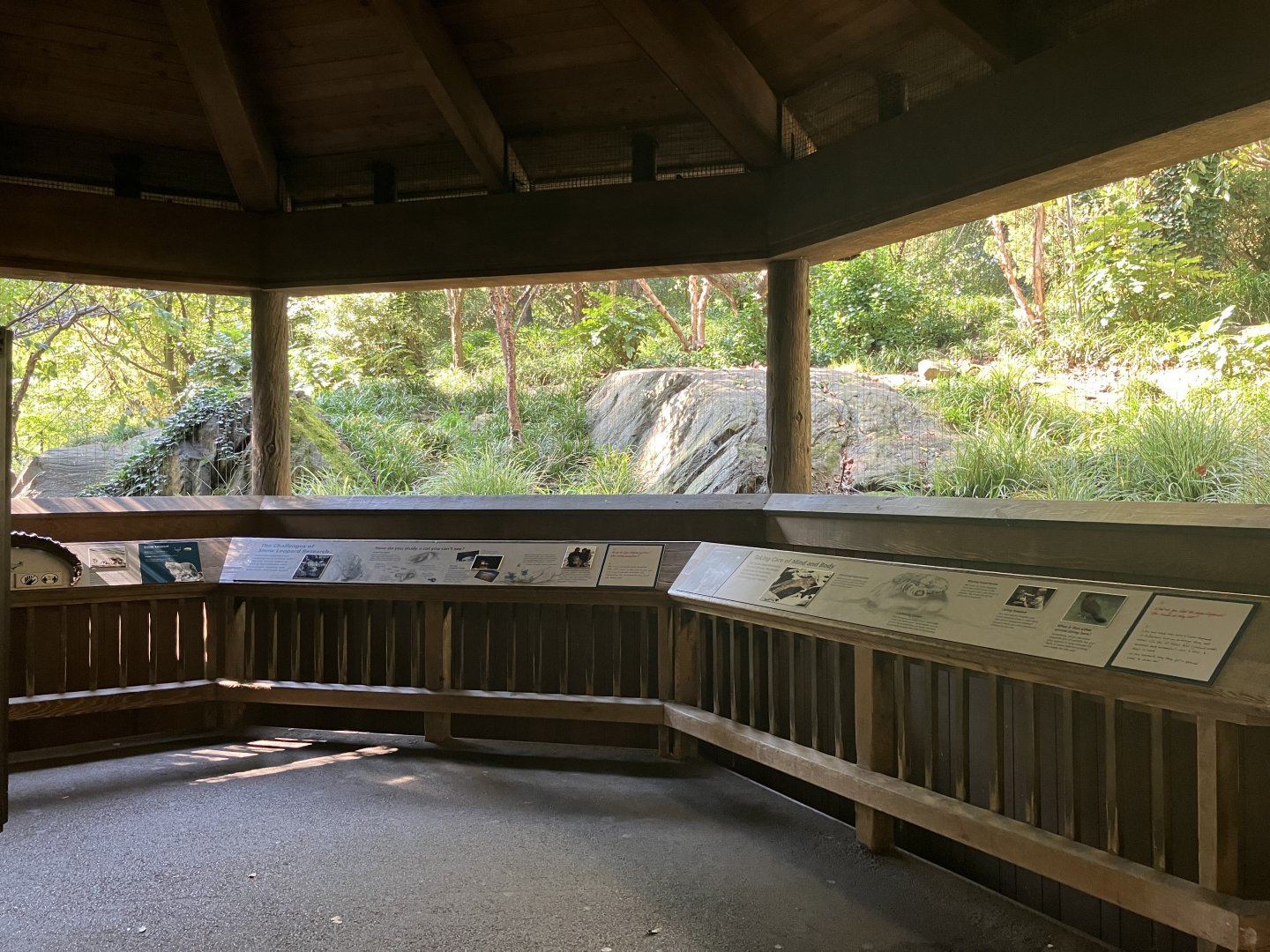 Temperate Territory - Snow Leopard/Temmink’s Tragopan Exhibit