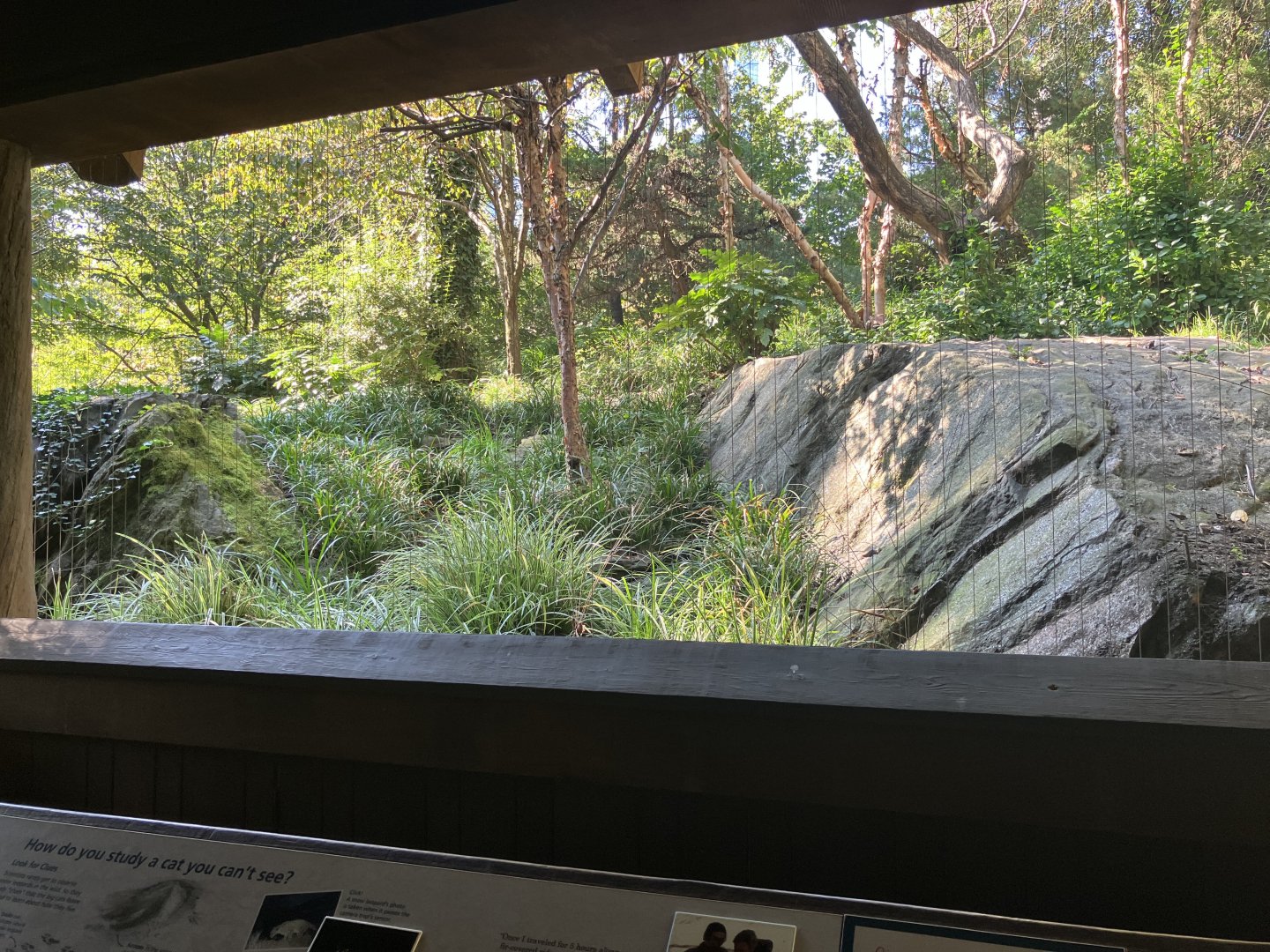 Temperate Territory - Snow Leopard/Temmink’s Tragopan Exhibit