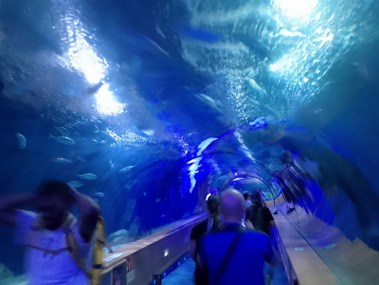 Temperate-tropical tunnel