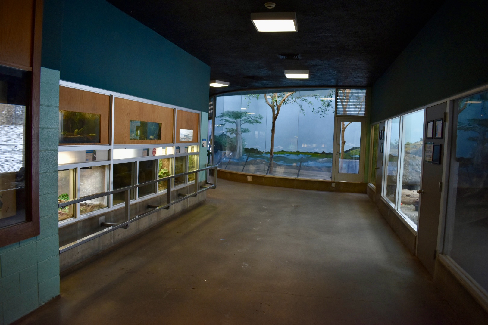 Temperate Zone - Small Animal Building