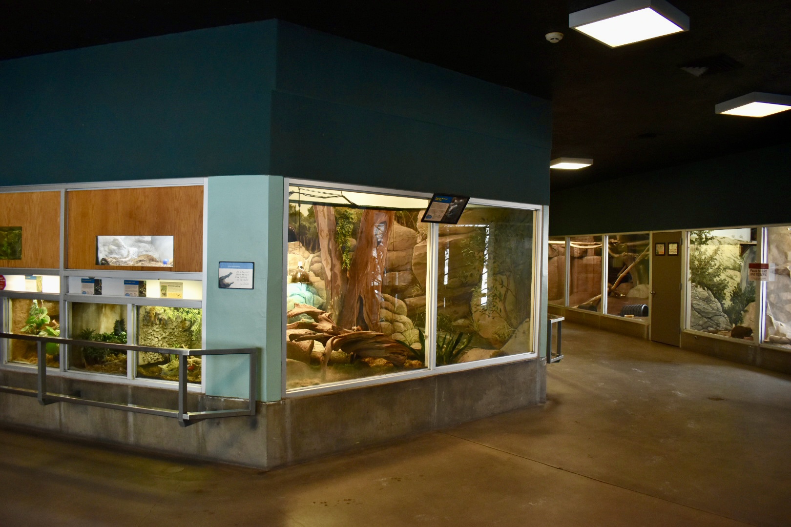 Temperate Zone - Small Animal Building