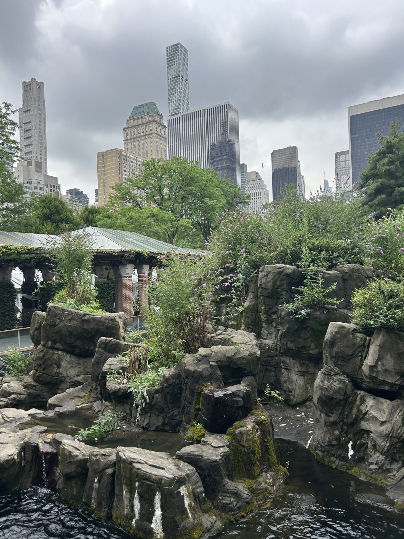 Temperature Territory: Japanese Macaque (Snow Monkey) Exhibit Upper Viewing