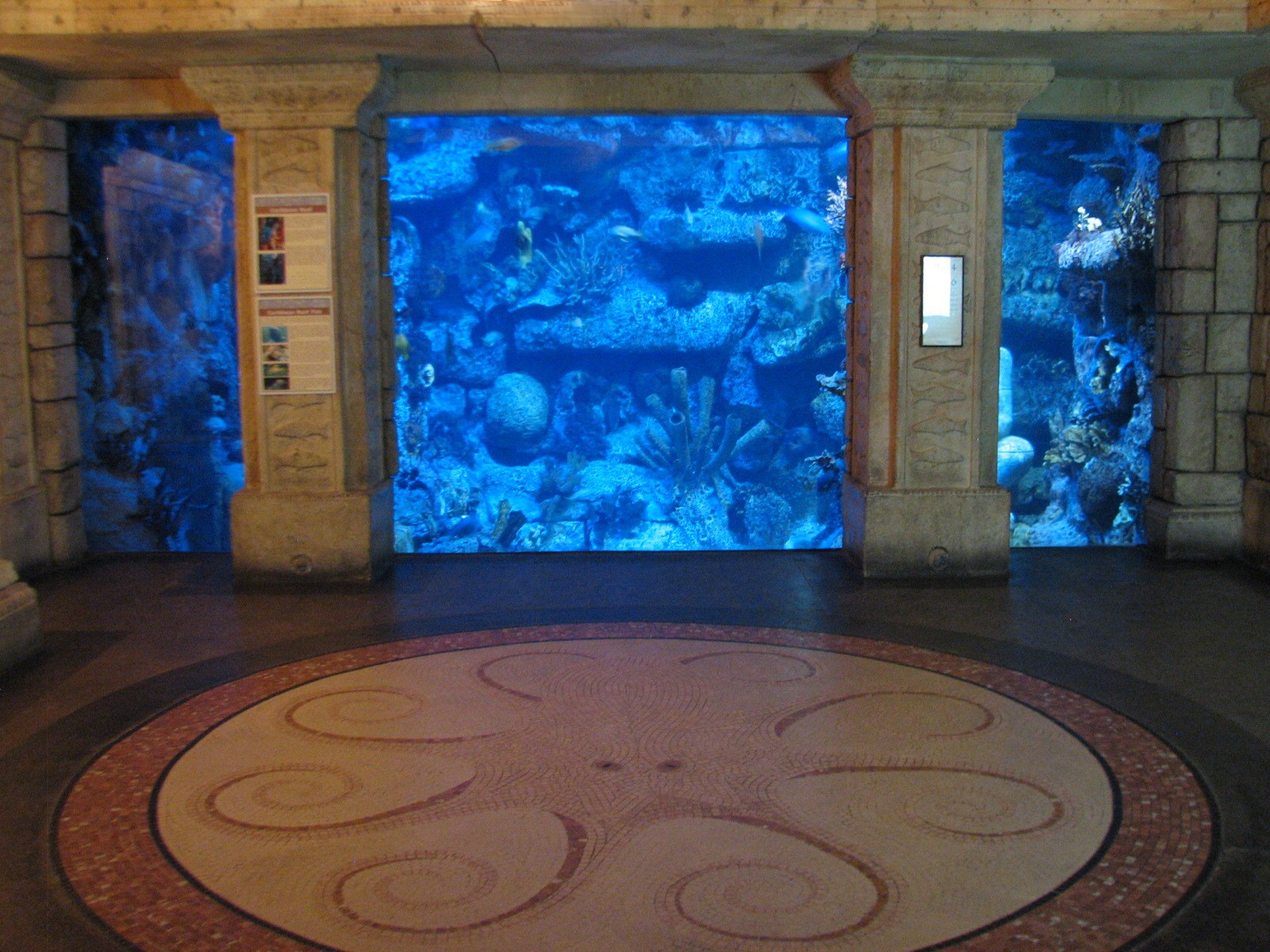 Temple - Caribbean Reef Exhibit