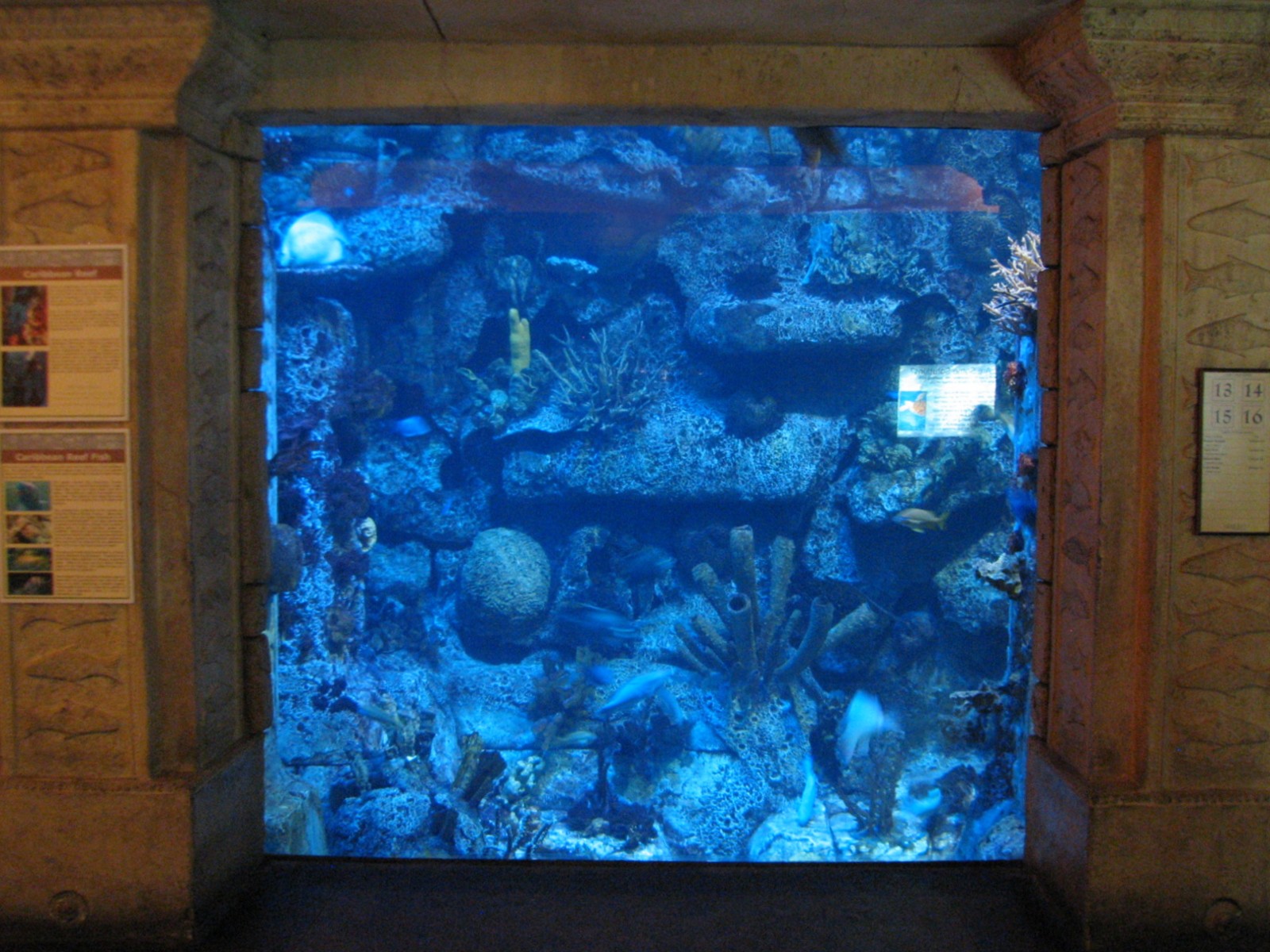 Temple - Caribbean Reef Exhibit