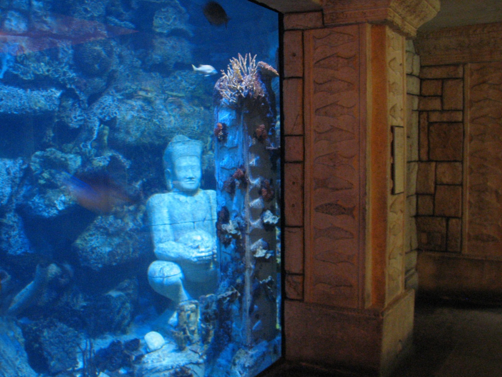 Temple - Caribbean Reef Exhibit