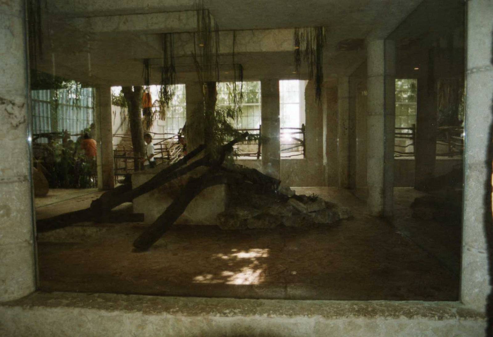 Temple of the Jaguar