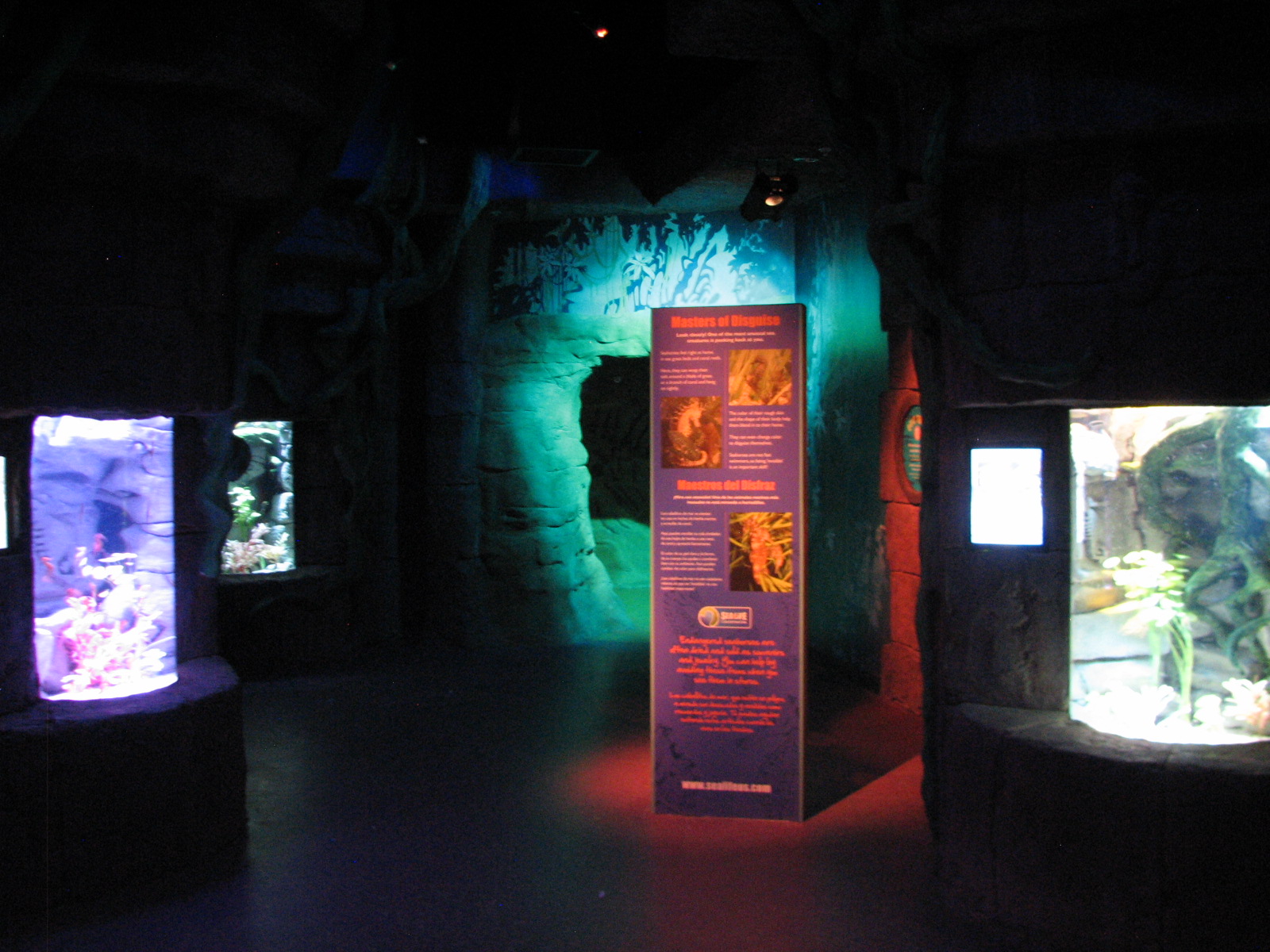 Temple of the Seahorse - Exhibits