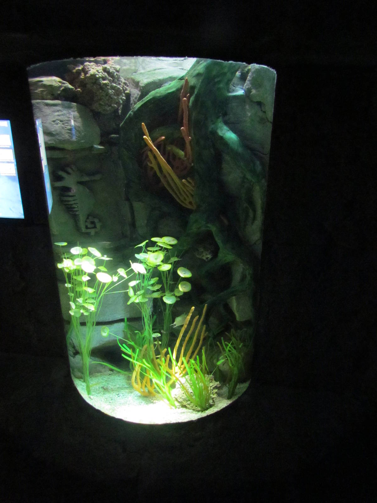 Temple of the Seahorse