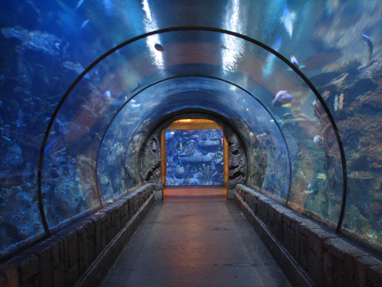 Temple - Reef Tunnel Exhibit