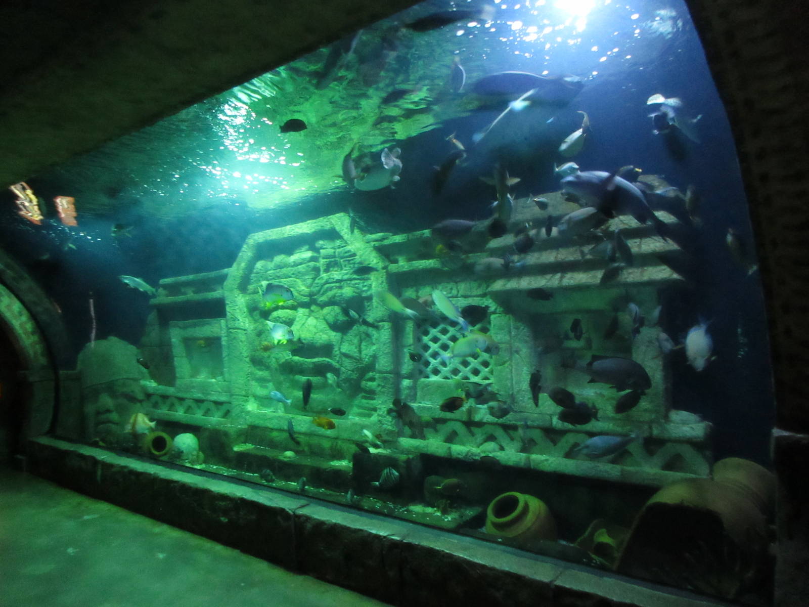 Temple Ruins Exhibit - highly impressive!