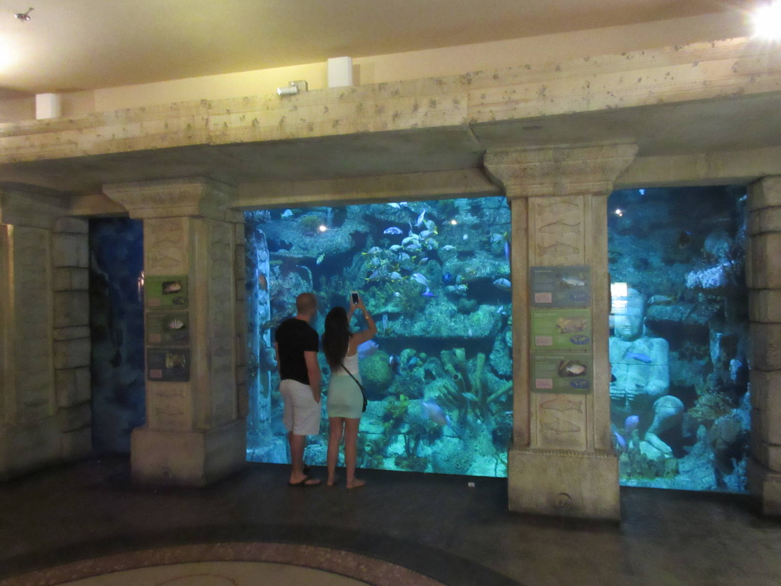 Temple-Themed Coral Reef Tank