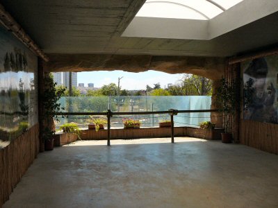 temple window out onto chimps/gorillas