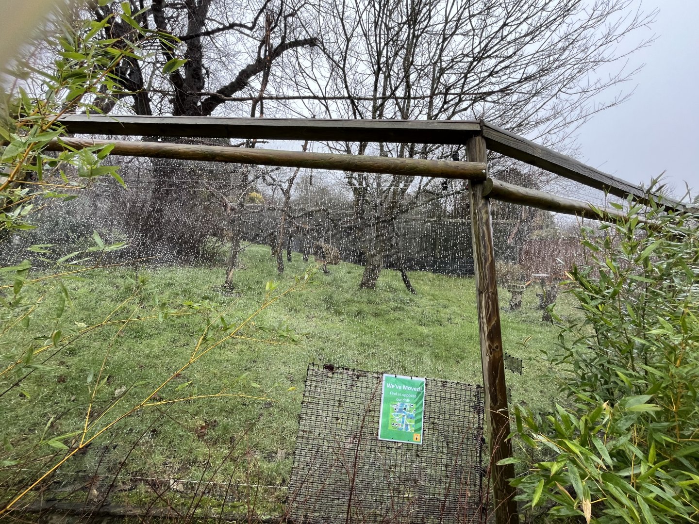 Temporarily empty crowned lemur enclosure 10.2.24