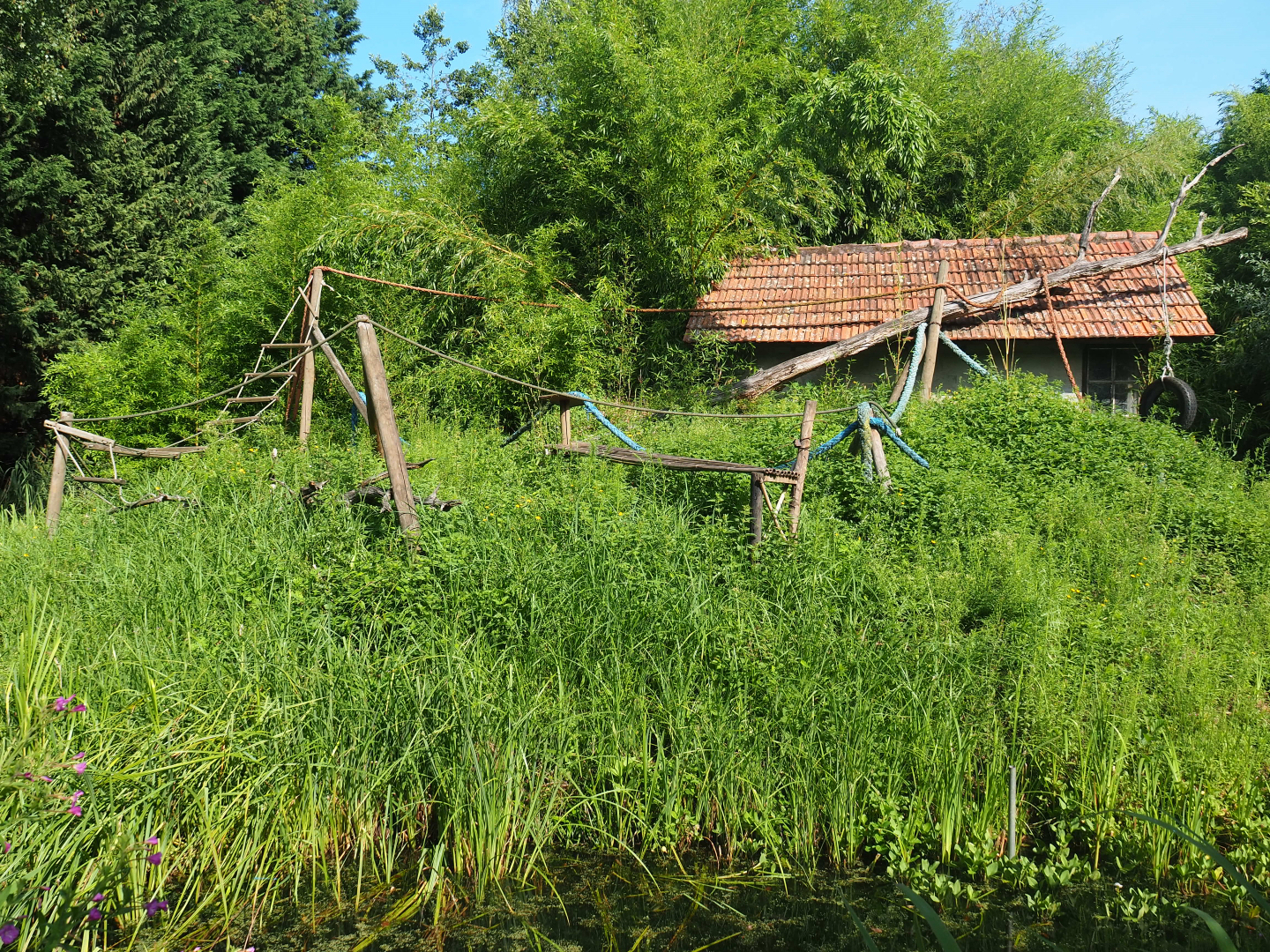 Temporarily unused lemur island, 2019-08-11