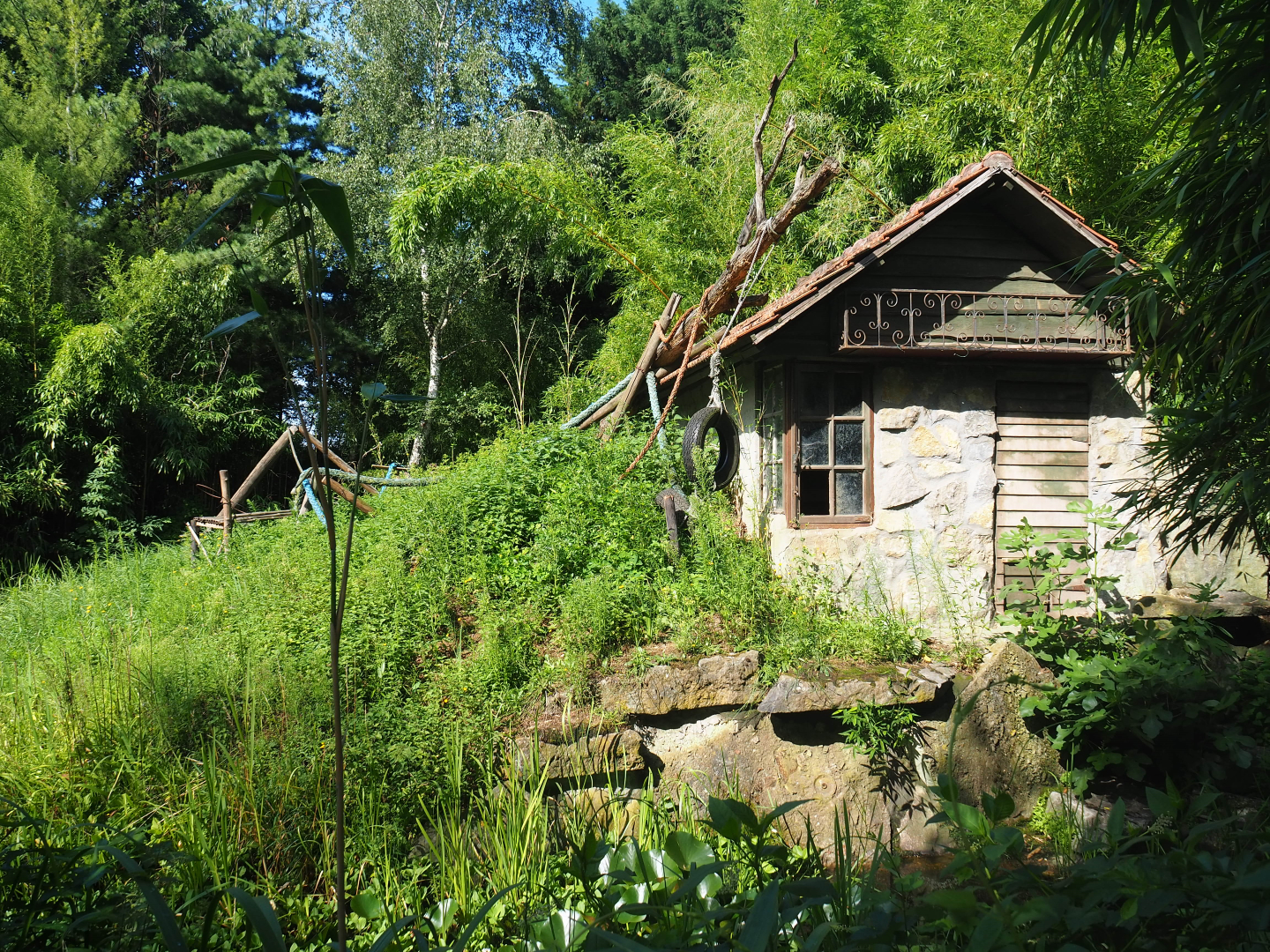 Temporarily unused lemur island, 2019-08-11