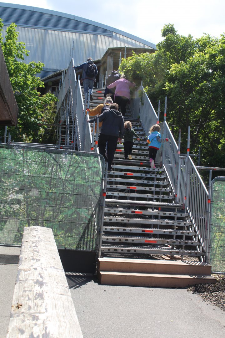 Temporary access to Realm of the Red Ape 27th May 2022