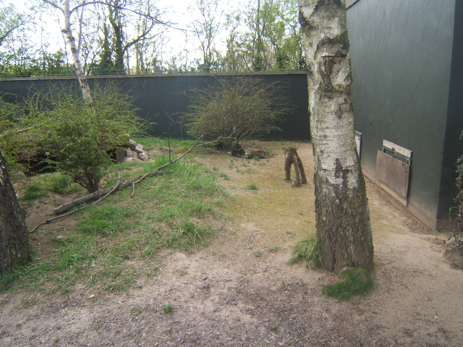 Temporary ASCO enclosure