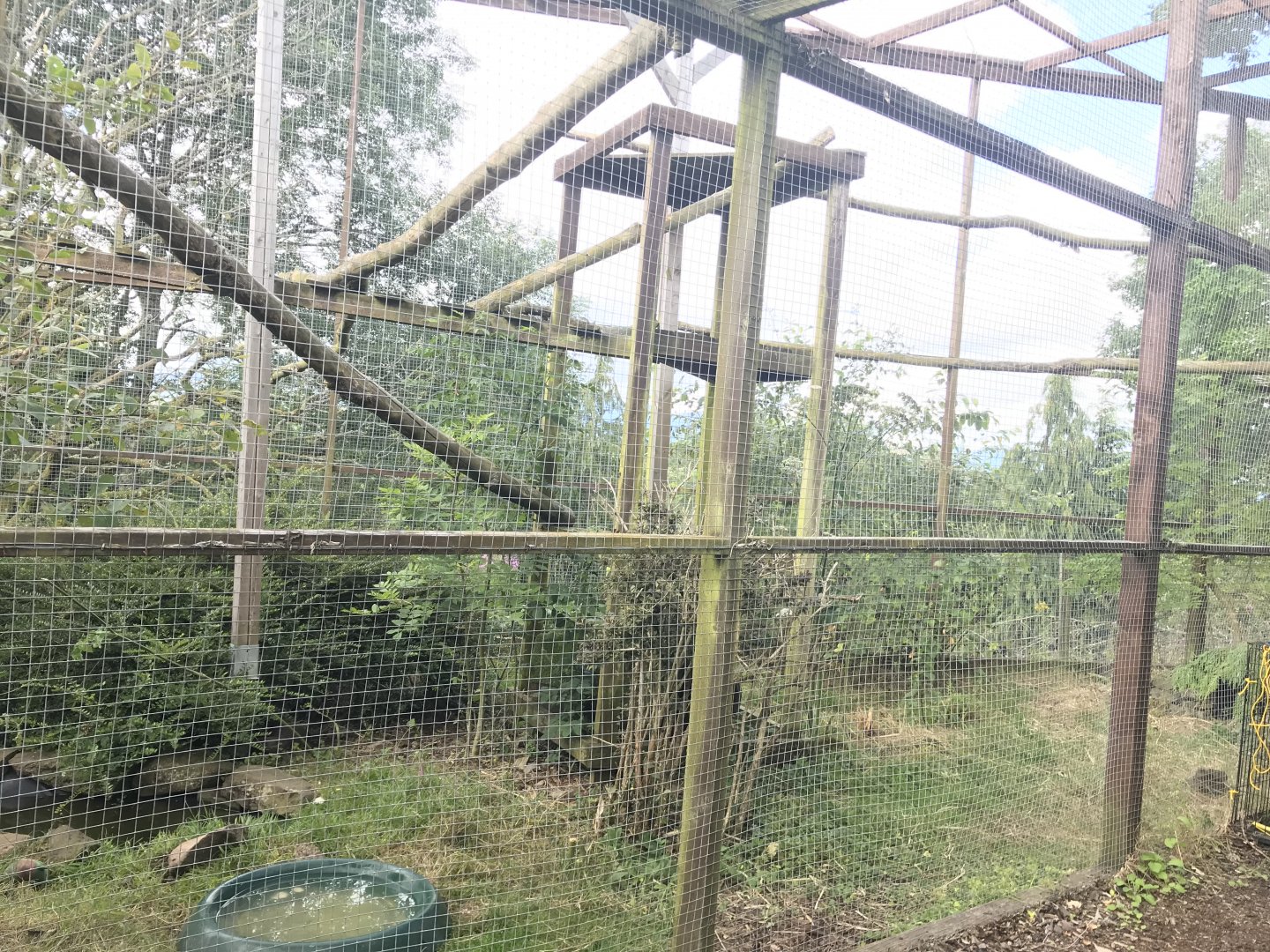 Temporary ASCO enclosure