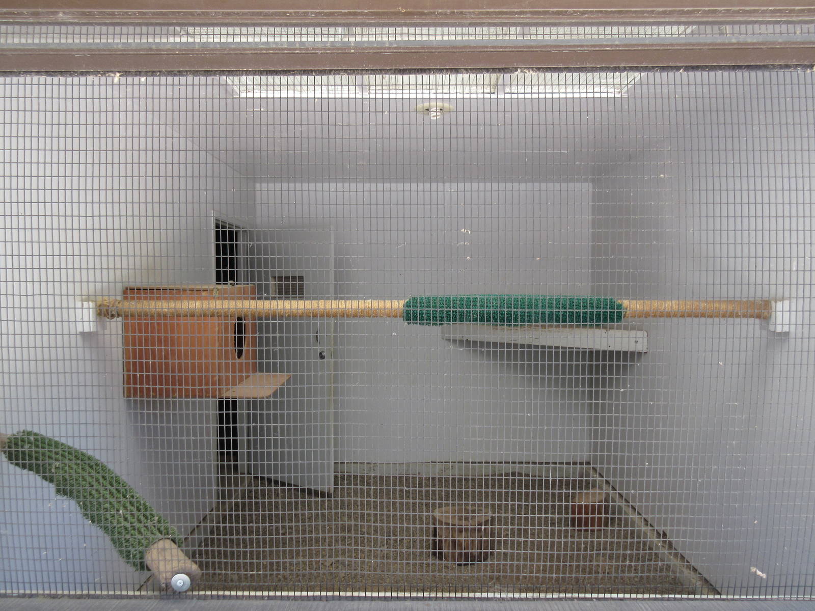 Temporary Bird Aviary (currently empty)